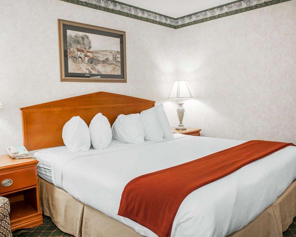 Quality Inn & Suites Brownsburg - Indianapolis West Rum bild