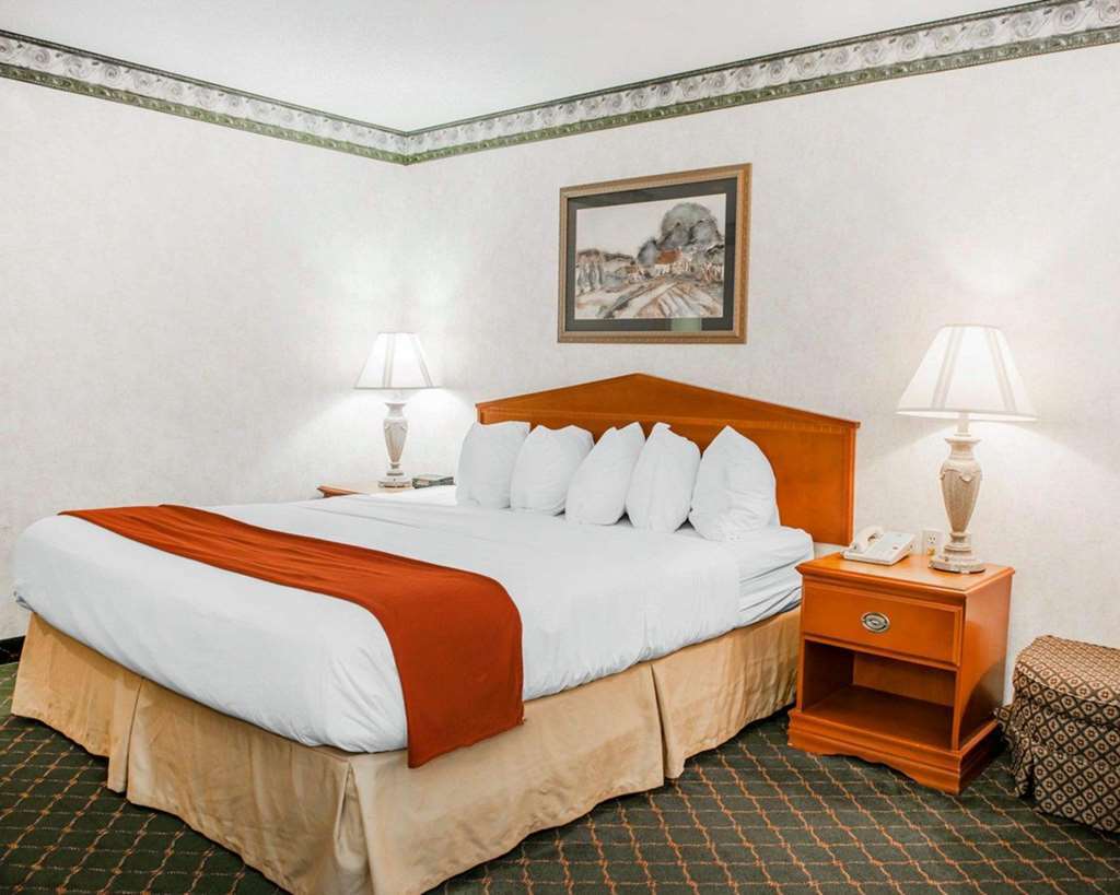 Quality Inn & Suites Brownsburg - Indianapolis West Rum bild